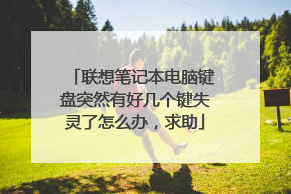 联想笔记本电脑键盘突然有好几个键失灵了怎么办,求助