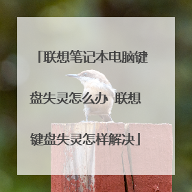 联想笔记本电脑键盘失灵怎么办 联想键盘失灵怎样解决