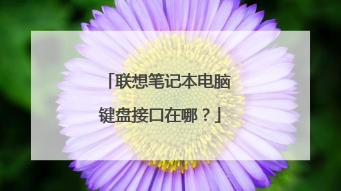 联想笔记本电脑键盘接口在哪?