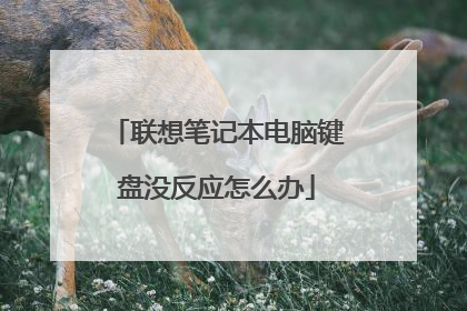 联想笔记本电脑键盘没反应怎么办