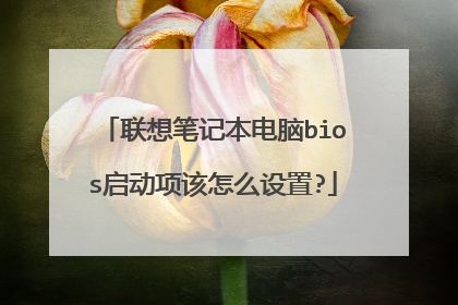 联想笔记本电脑bios启动项该怎么设置?