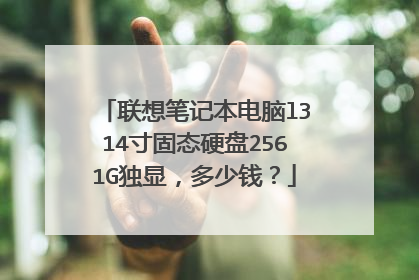 联想笔记本电脑l314寸固态硬盘2561G独显，多少钱？