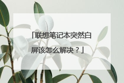 联想笔记本突然白屏该怎么解决?