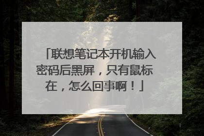联想笔记本开机输入密码后黑屏,只有鼠标在,怎么回事啊!