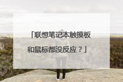 联想笔记本触摸板和鼠标都没反应？