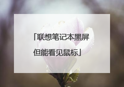 联想笔记本黑屏但能看见鼠标