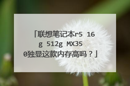联想笔记本r5 16g 512g MX350独显这款内存高吗?