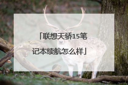 联想天骄15笔记本续航怎么样