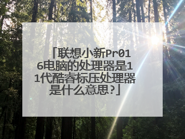 联想小新Pr016电脑的处理器是11代酷睿标压处理器是什么意思?