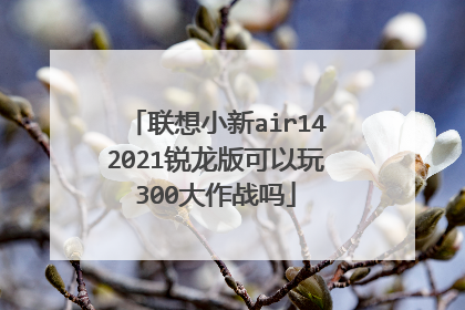联想小新air142021锐龙版可以玩300大作战吗