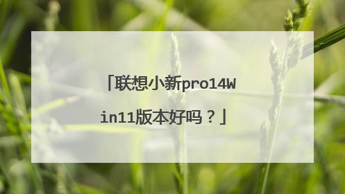 联想小新pro14Win11版本好吗?