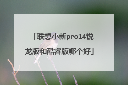 联想小新pro14锐龙版和酷睿版哪个好