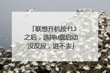 联想开机按f12之后，选择U盘启动没反应，进不去