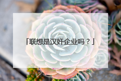 联想是汉奸企业吗?