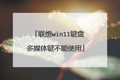 联想win11键盘多媒体键不能使用