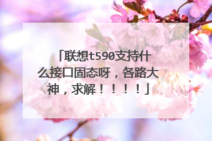 联想t590支持什么接口固态呀,各路大神,求解!!!!