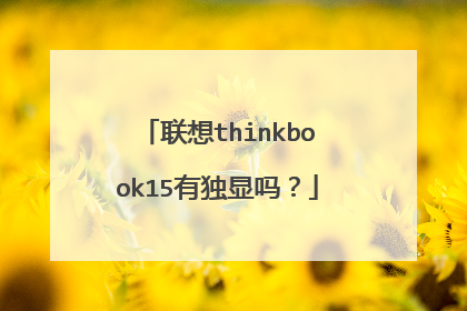 联想thinkbook15有独显吗?