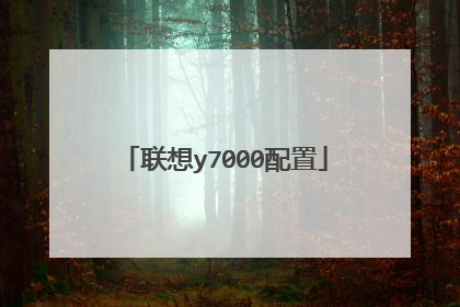 联想y7000配置