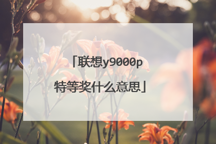 联想y9000p特等奖什么意思
