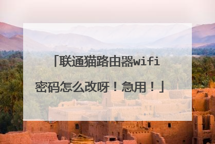 联通猫路由器wifi密码怎么改呀!急用!