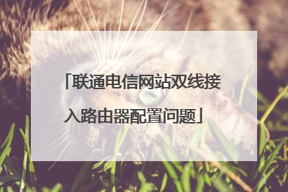 联通电信网站双线接入路由器配置问题