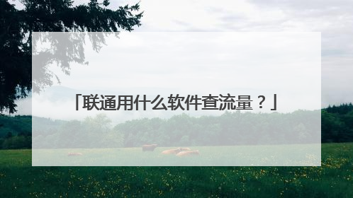 联通用什么软件查流量?