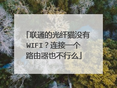 联通的光纤猫没有WIFI？连接一个路由器也不行么