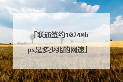 联通签约1024Mbps是多少兆的网速