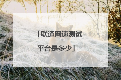 联通网速测试平台是多少