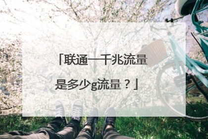 联通一千兆流量是多少g流量？