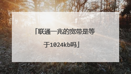 联通一兆的宽带是等于1024kb吗
