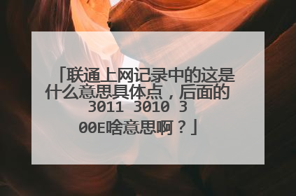 联通上网记录中的这是什么意思具体点,后面的3011 3010 300E啥意思啊?
