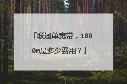 联通单宽带，1000M是多少费用？