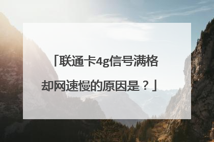 联通卡4g信号满格却网速慢的原因是?