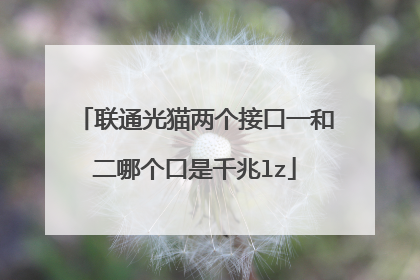 联通光猫两个接口一和二哪个口是千兆lz
