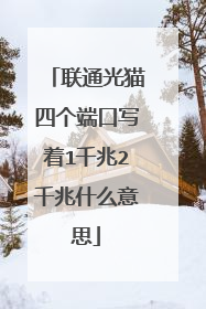 联通光猫四个端口写着1千兆2千兆什么意思