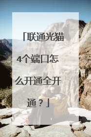 联通光猫4个端口怎么开通全开通?