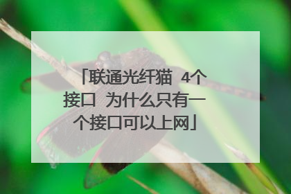 联通光纤猫 4个接口 为什么只有一个接口可以上网