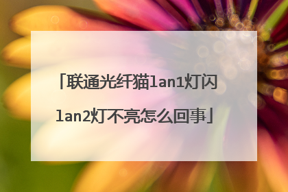 联通光纤猫lan1灯闪 lan2灯不亮怎么回事