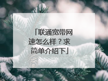 联通宽带网速怎么样?求简单介绍下