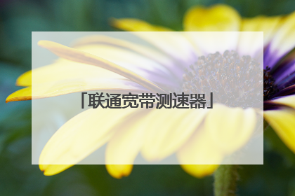 联通宽带测速器