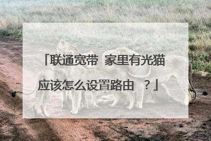 联通宽带 家里有光猫应该怎么设置路由 ？