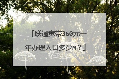 联通宽带360元一年办理入口多少M？