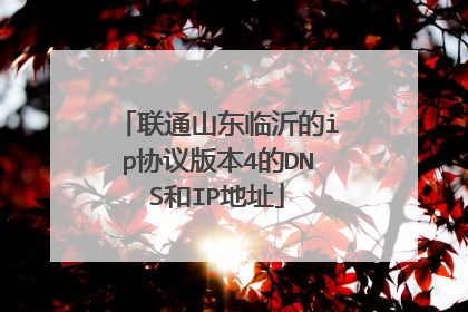 联通山东临沂的ip协议版本4的DNS和IP地址