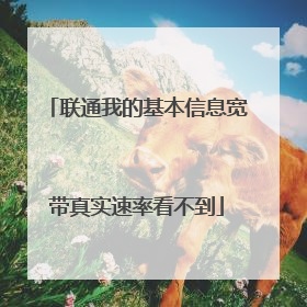 联通我的基本信息宽带真实速率看不到
