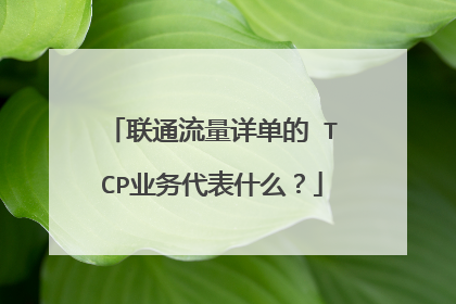 联通流量详单的 TCP业务代表什么?