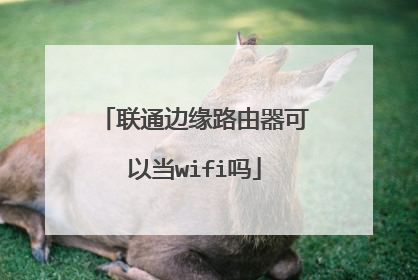 联通边缘路由器可以当wifi吗