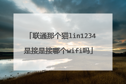 联通那个猫lin1234是接是接哪个wifi吗