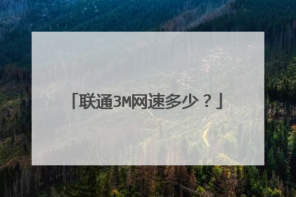 联通3M网速多少？