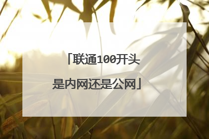 联通100开头是内网还是公网
